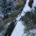 20101204 164628